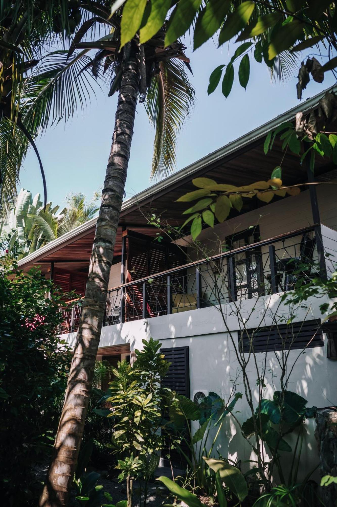 Conga Boutique Hotel Puerto Viejo de Talamanca Exterior photo